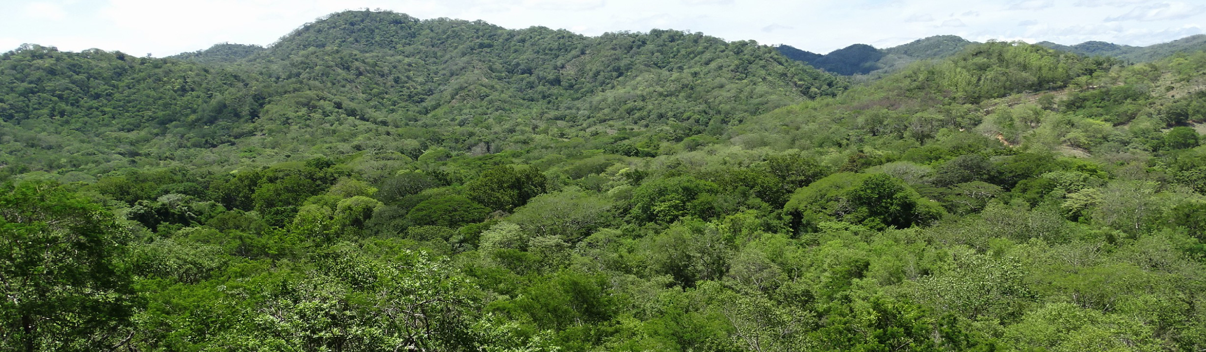 The Congo Trail Canopy Tour Ecotrans