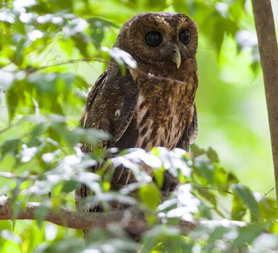 Rincon De La Vieja National Park - Ecotrans Costa Rica